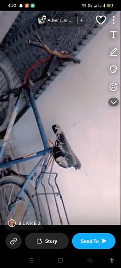 phonix phrame new rim back rim new full