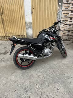 Yamaha YBR 150 cc