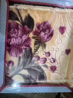 Blanket bedsheet