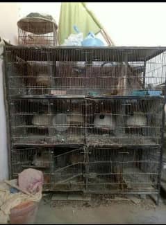Iron Cage 12 Portion
