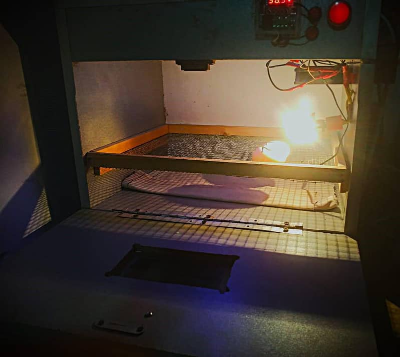 Incubator in new condition and all part new. 1