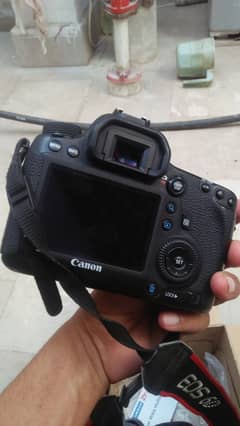 canon 6d