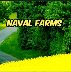 Naval Farms 5 Kanal Plot Prime Location