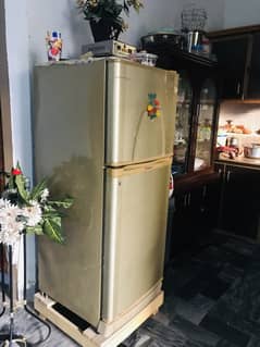 Fridge