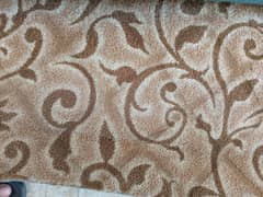 carpet for sale slightly used