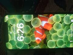 Iphone 12mini Jv