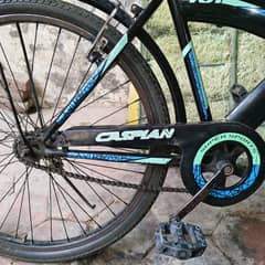 sport