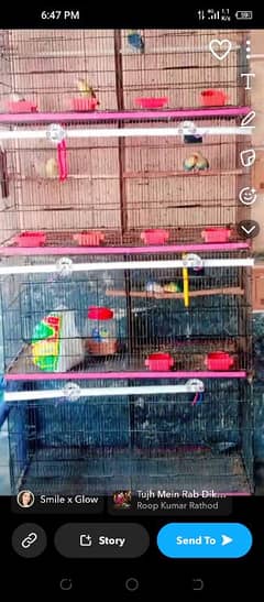 8 portion cage without boxes and birds