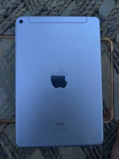 ipad mini 5