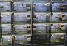 Sadaqat cages for sale