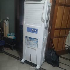 Boss standing cooler