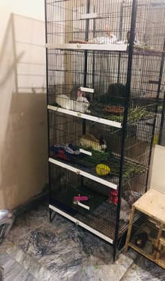 Cage for Sale very Reasonable Price