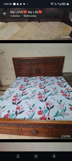 Bed