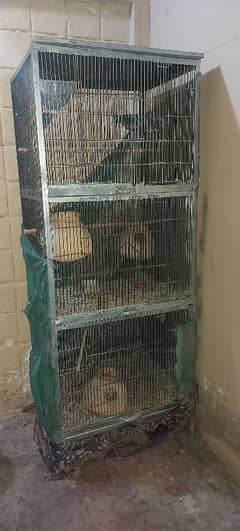 Cage