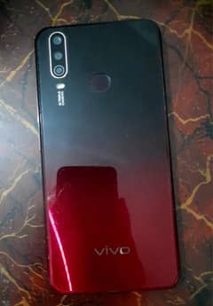 vivo