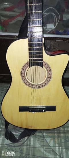 Acoustic guitar