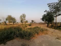 Plot