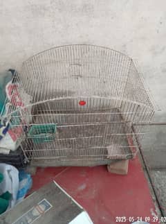 birds cage