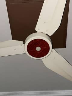 ceiling