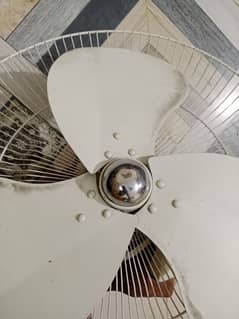 fan