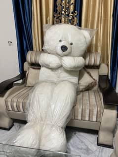 Teddy bear