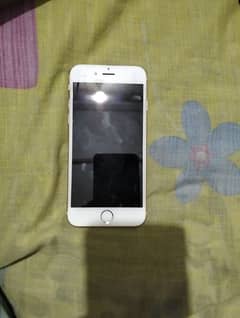 iPhone 6
