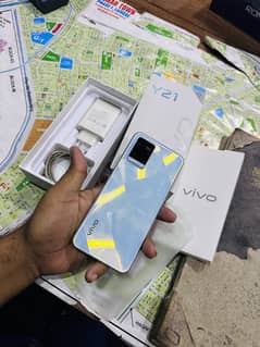 Vivo