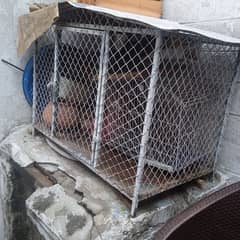 pigra