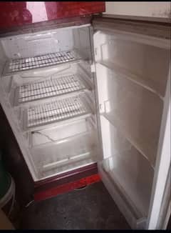 fridge pel