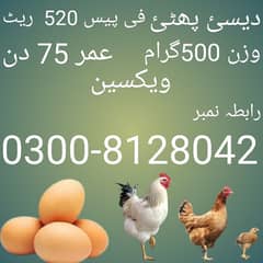 Desi phatti