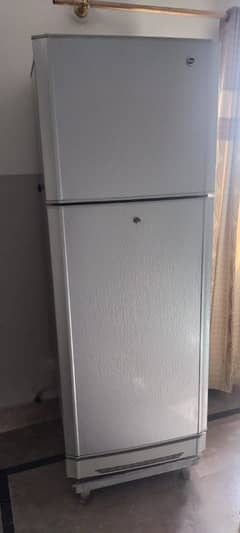 PEL