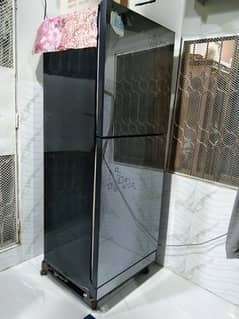 URGENT SELL PEL GLASS DOOR REFRIGERATOR