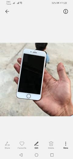03115868923