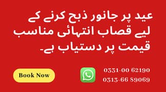 Professional Qsai Available on Eid 2025