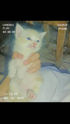 for selling