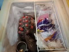 Dawlance deep freezer