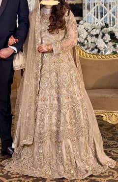 Walima Maxi Dress (Size Small)