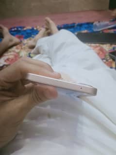 vivo v29e 5g 8+8 256 gb