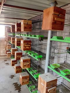 Cages for sale
