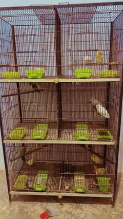 cages