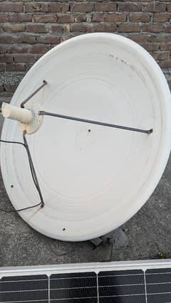 Dish