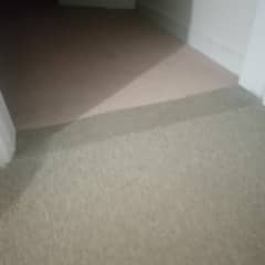 used carpet for sale and two colors