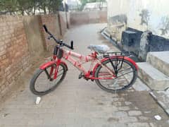 cycle for sale . . . . . . .