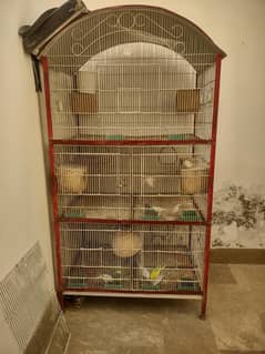 cage