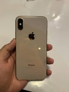 Iphone Xs