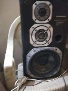 pioneer