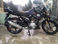 10/10 condition bike