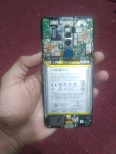 oppo