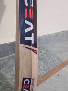 Hard Ball bat