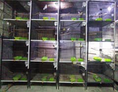 4 portion iron cage's For sale Lovebird 4 cage's
